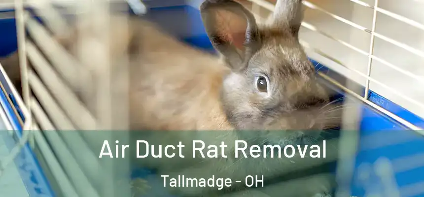  Air Duct Rat Removal Tallmadge - OH