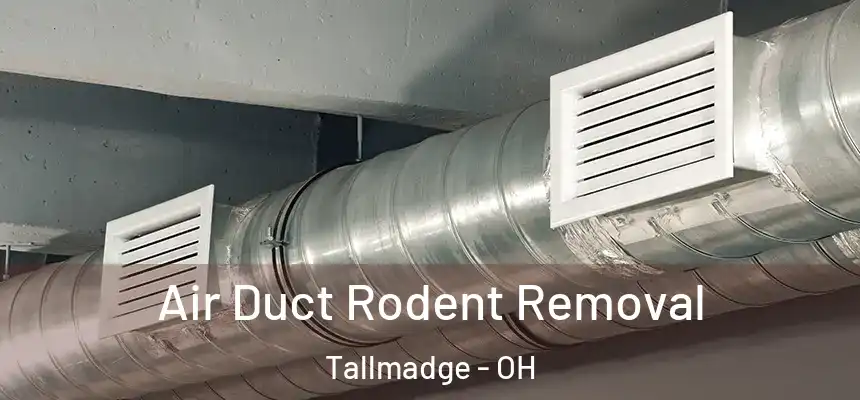  Air Duct Rodent Removal Tallmadge - OH