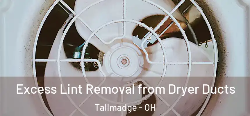  Excess Lint Removal from Dryer Ducts Tallmadge - OH