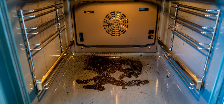 Our Dryer Vent Mold Cleaning Services in Tallmadge, OH