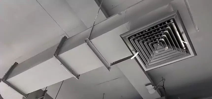 Our Pest Removal From Ducts Services in Tallmadge, OH