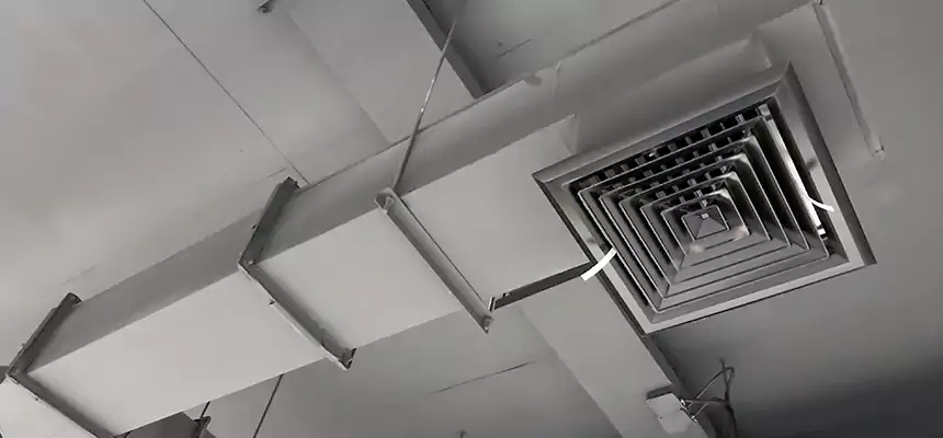 Our Rodent Droppings In Vents Services in Tallmadge, OH