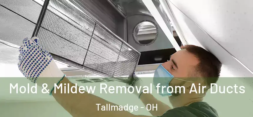  Mold & Mildew Removal from Air Ducts Tallmadge - OH