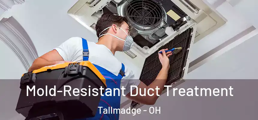  Mold-Resistant Duct Treatment Tallmadge - OH