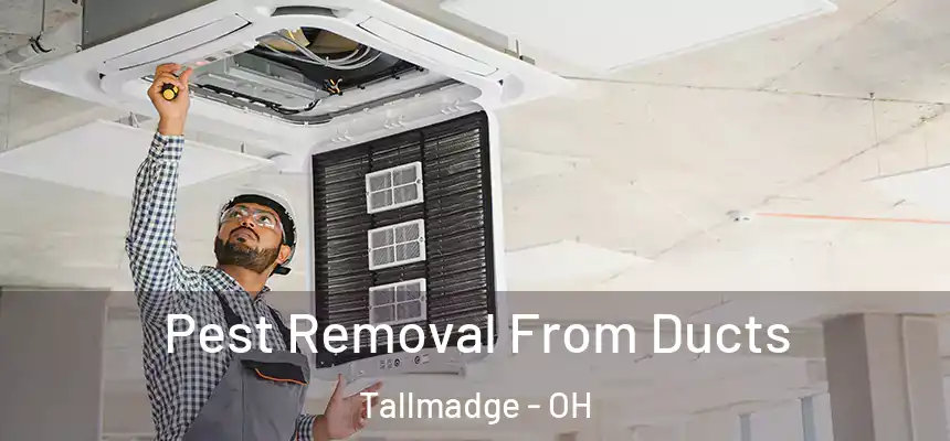  Pest Removal From Ducts Tallmadge - OH