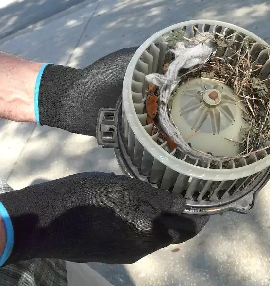 About Air Duct Mice Removal in Tallmadge, OH