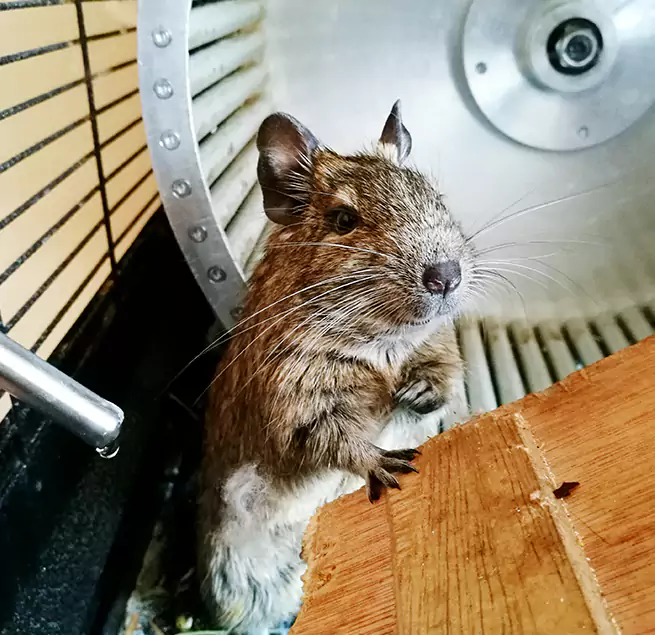 Why Homeowners & Businesses Trust Us Tallmadge, OH